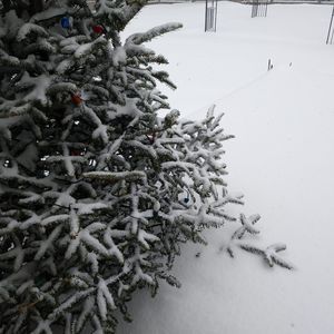 Meet your Posher, Mari